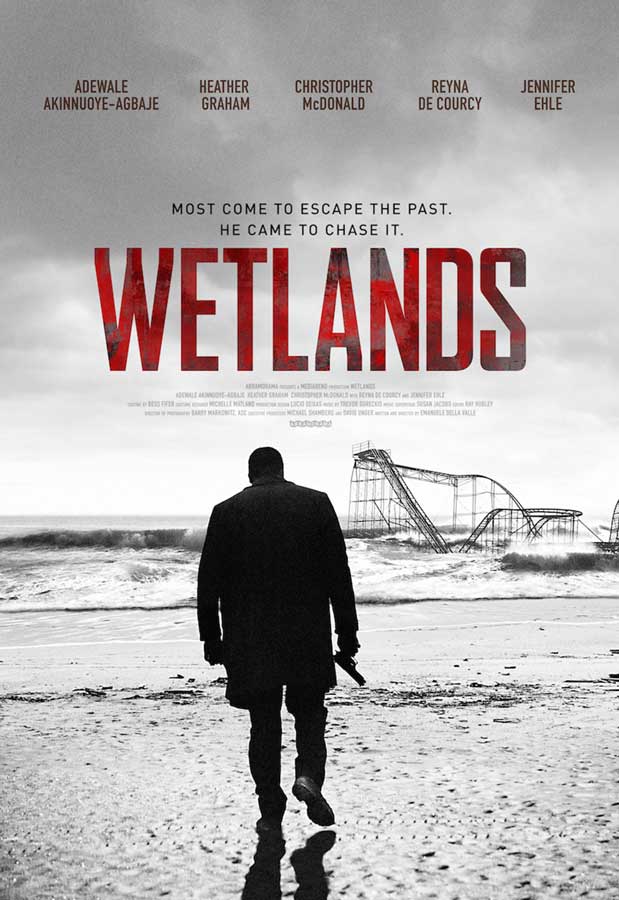 Wetlands_Poster